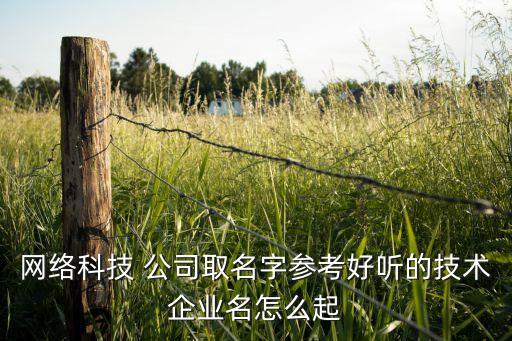 網絡科技 公司取名字參考好聽的技術企業名怎么起