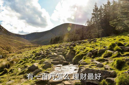 100萬怎么理財投資理財,大學生投資理財現狀及如何理財