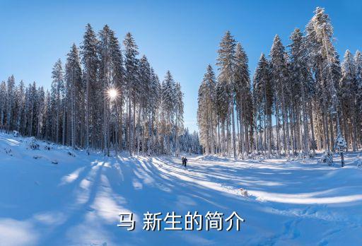 百聯集團馬新生,馬新生 百聯