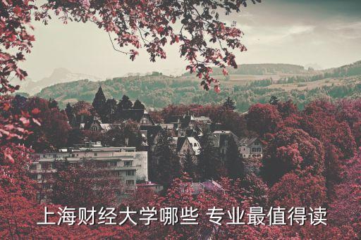  上海財經大學哪些 專業最值得讀