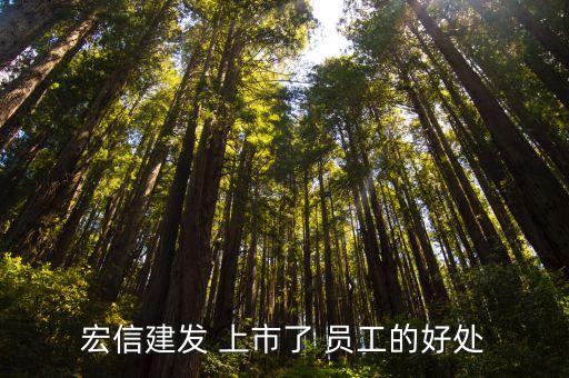 宏信建發 上市了 員工的好處