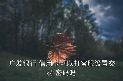 廣發銀行信用卡消費密碼修改