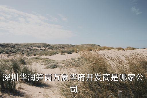 深圳市覽眾投資發展有限公司
