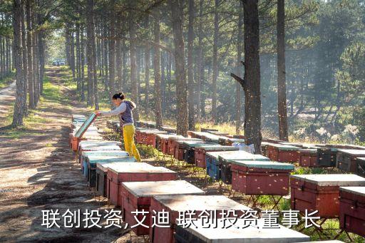 珠海聯創投資,艾迪 聯創投資董事長