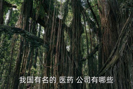 我國有名的 醫藥 公司有哪些