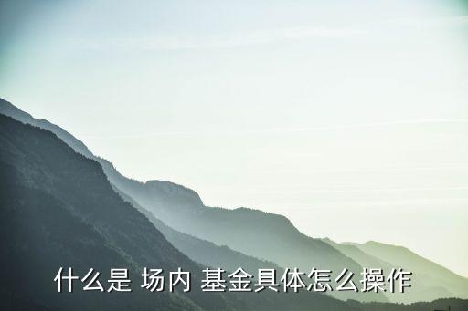 什么是 場內 基金具體怎么操作