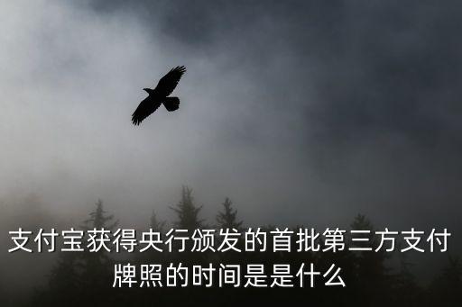 支付寶獲得央行頒發的首批第三方支付牌照的時間是是什么