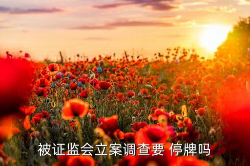 被證監會立案調查要 停牌嗎