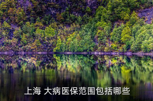 上海大病醫療保險