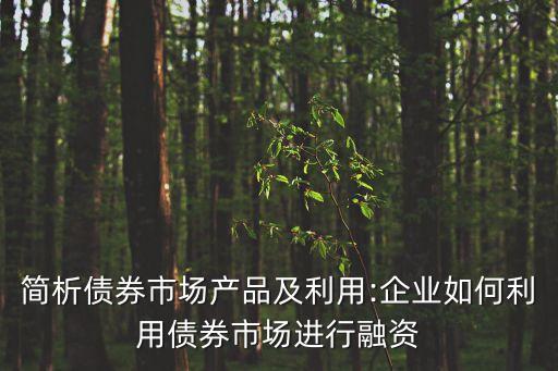 北京銀行間交易商協會