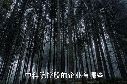  中科院控股的企業有哪些
