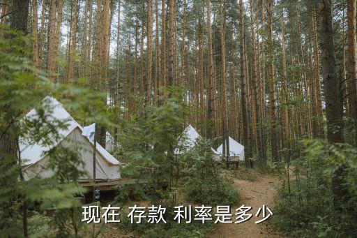 現在 存款 利率是多少