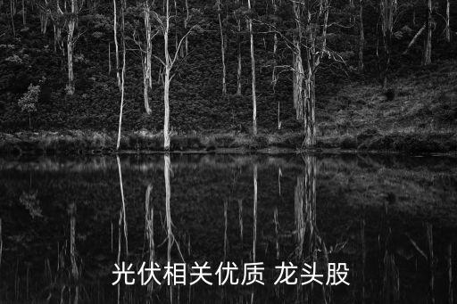  光伏相關優質 龍頭股