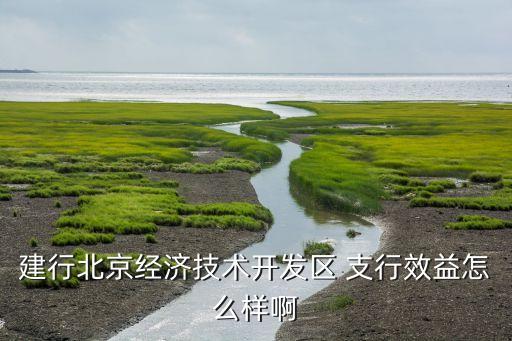 建行北京經濟技術開發區 支行效益怎么樣啊
