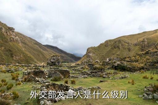 外交部發言人是什么級別