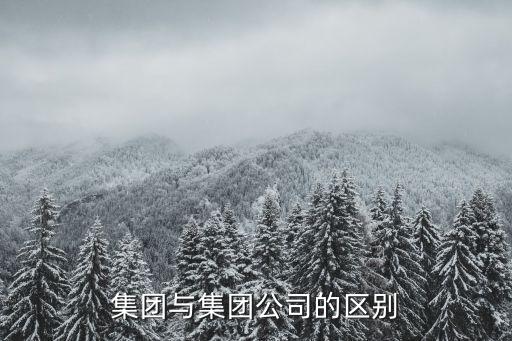 集團與集團公司的區別