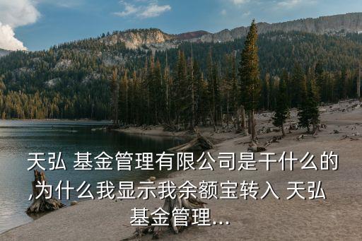 天弘移動互聯基金,匯添富移動互聯基金凈值