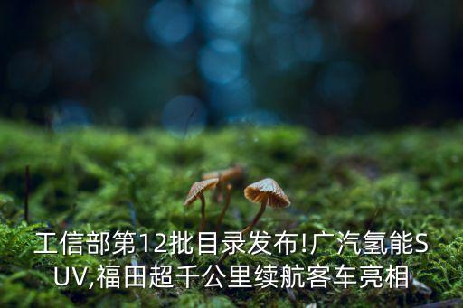 工信部第12批目錄發布!廣汽氫能SUV,福田超千公里續航客車亮相