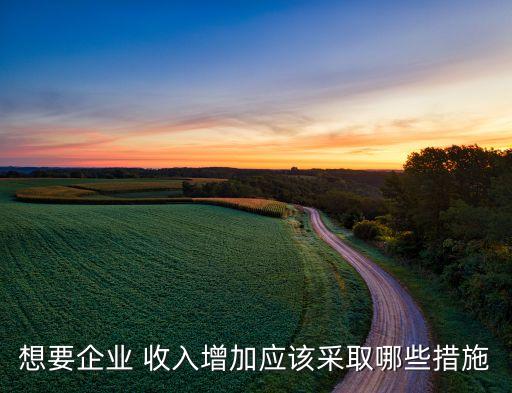 想要企業 收入增加應該采取哪些措施