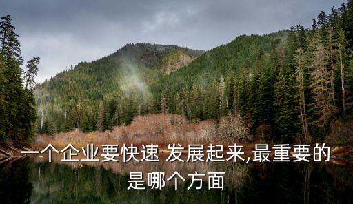 地方性易貨公司怎么樣快速發展