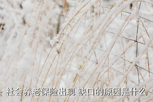 社會養老保險出現 缺口的原因是什么