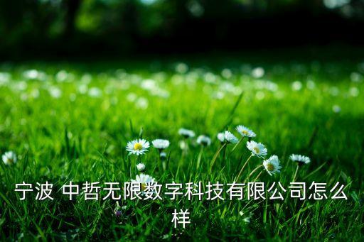 寧波 中哲無限數字科技有限公司怎么樣