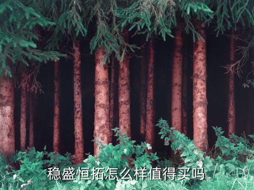 穩盛恒拓怎么樣值得買嗎