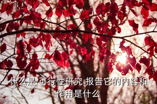 什么是 可行性研究 報告它的內容和作用是什么