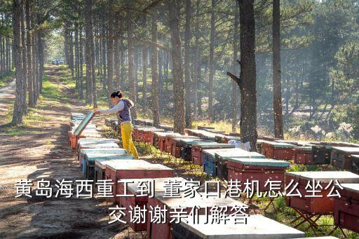 從青島流亭機場到青島港集團董家口港區