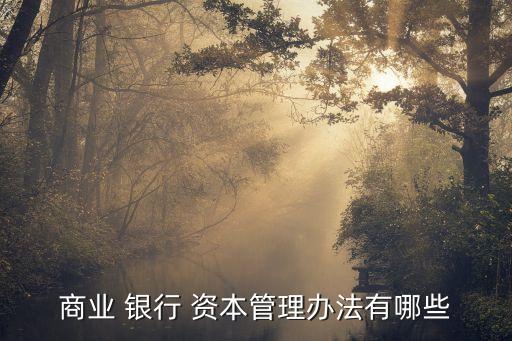 商業 銀行 資本管理辦法有哪些