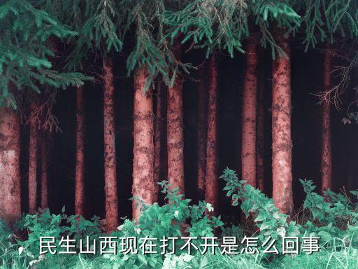 民生山西現在打不開是怎么回事