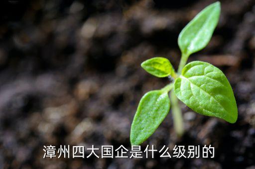 開發區漳州漳龍集團,漳州漳龍集團是做什么的