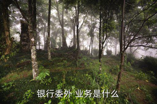 銀行委外 業務是什么