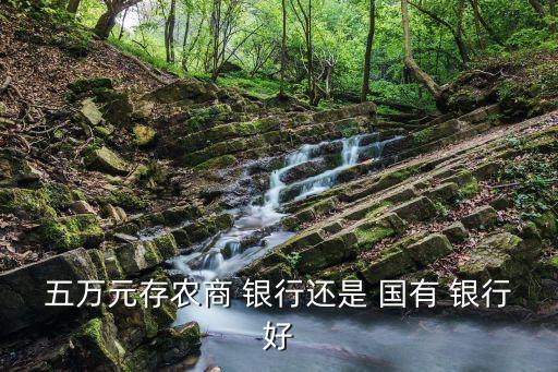 五萬元存農商 銀行還是 國有 銀行好