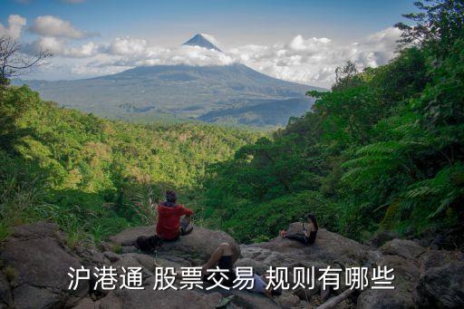 股票報價規則,股票價格籠子