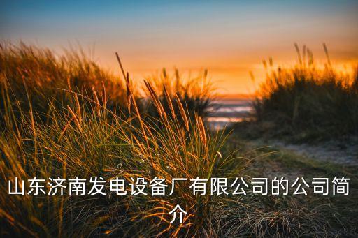 印尼發電機組中國占