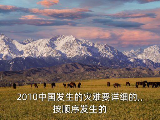 2010中國發生的災難要詳細的,,按順序發生的