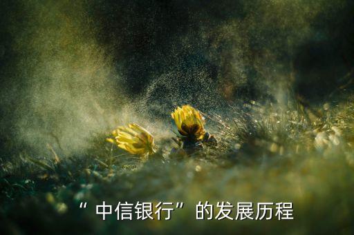中信集團2014年總資產,中國中信集團有限公司總資產