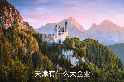  天津有什么大企業