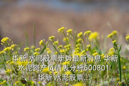  華新 水泥股票走勢最新消息 華新 水泥資產負債表分析600801 華新 水泥股票...