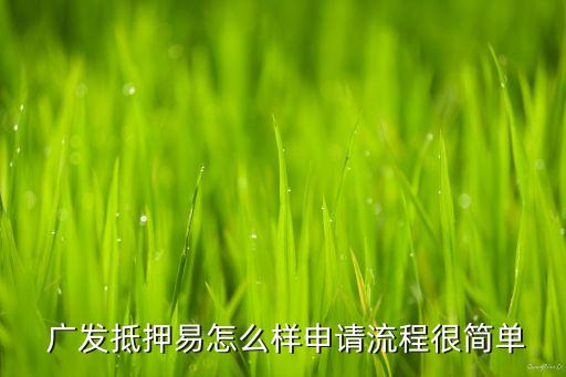  廣發抵押易怎么樣申請流程很簡單