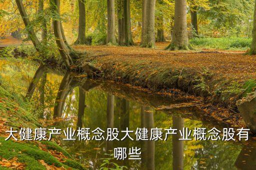 大健康產業(yè)概念股大健康產業(yè)概念股有哪些
