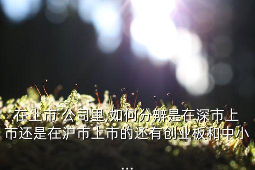 在上市 公司里,如何分辨是在深市上市還是在滬市上市的還有創業板和中小...