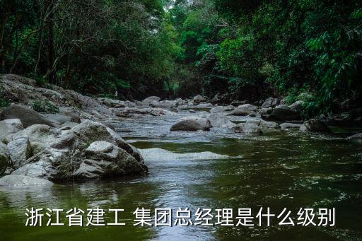 浙江省建工 集團總經理是什么級別