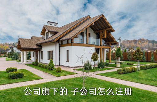 設立子公司,內資企業在香港設立子公司