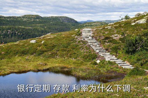 泰安市商業銀行存款利率