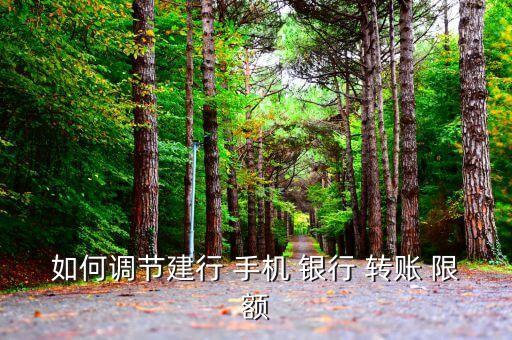建設手機銀行轉賬限額,中國建行手機銀行app下載安裝