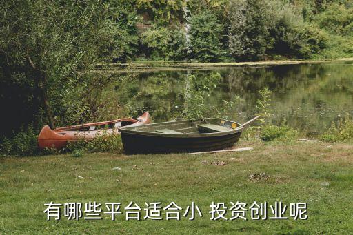 有哪些平臺適合小 投資創業呢