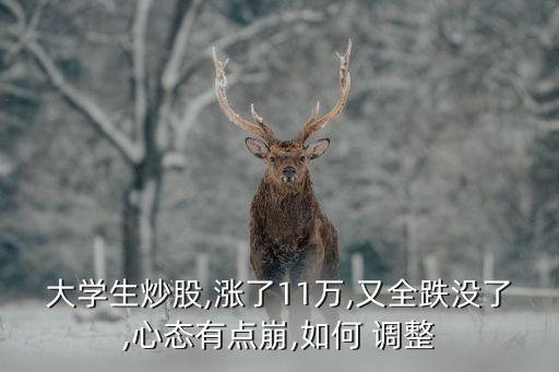 大學生炒股,漲了11萬,又全跌沒了,心態有點崩,如何 調整