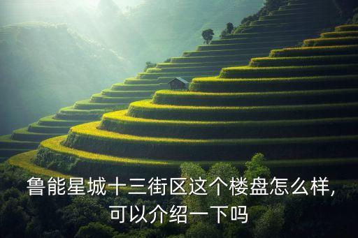  魯能星城十三街區這個樓盤怎么樣,可以介紹一下嗎